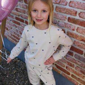 Hartjes Training Pull